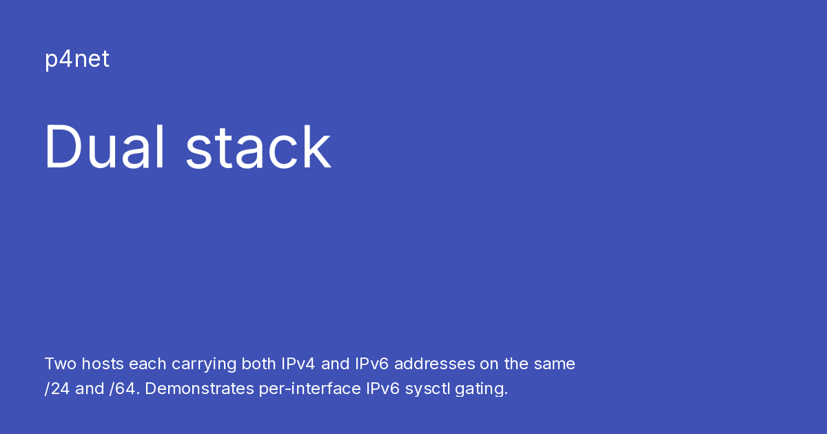 Dual stack - p4net